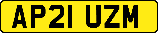 AP21UZM