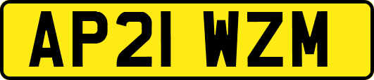 AP21WZM