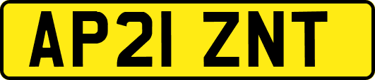 AP21ZNT