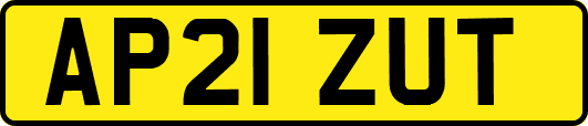 AP21ZUT