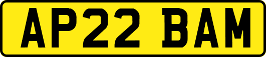 AP22BAM