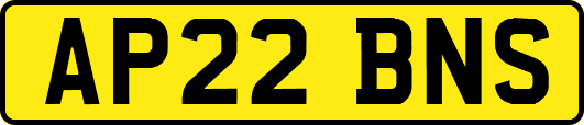 AP22BNS