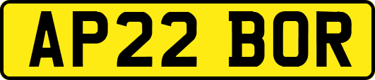 AP22BOR
