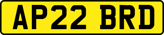 AP22BRD