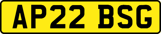 AP22BSG