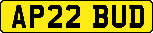AP22BUD