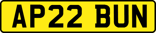 AP22BUN
