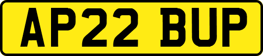 AP22BUP