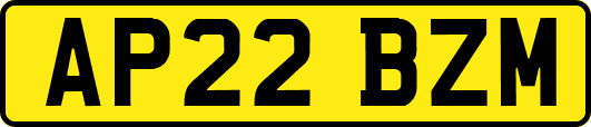 AP22BZM