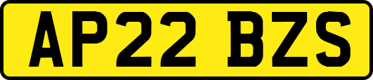 AP22BZS