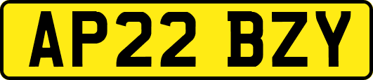AP22BZY