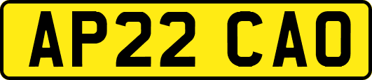 AP22CAO