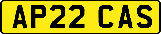 AP22CAS