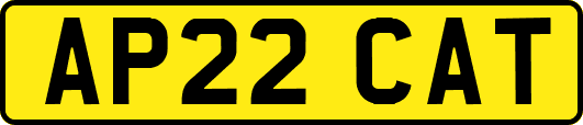AP22CAT