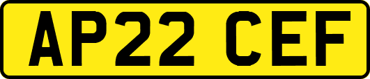 AP22CEF