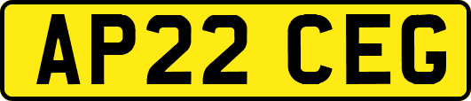 AP22CEG