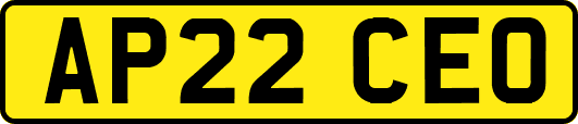AP22CEO