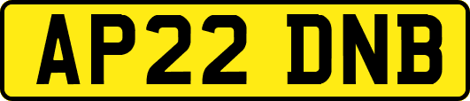 AP22DNB