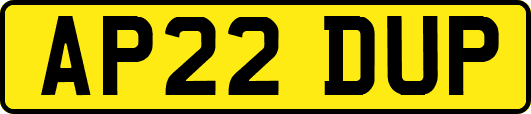 AP22DUP