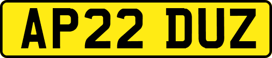 AP22DUZ