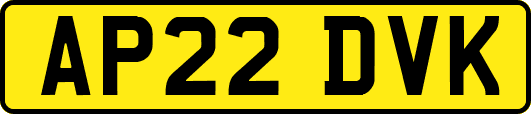 AP22DVK