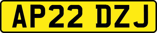 AP22DZJ