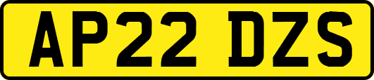 AP22DZS