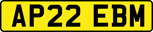 AP22EBM