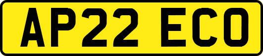 AP22ECO