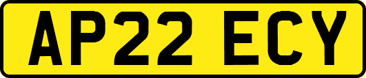 AP22ECY