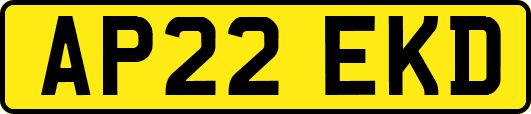 AP22EKD