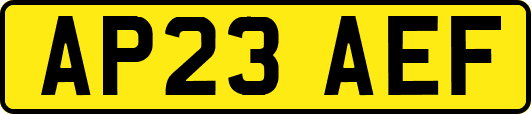 AP23AEF