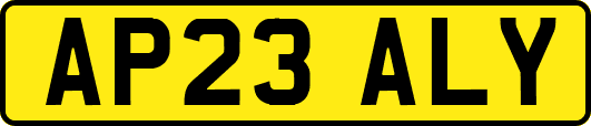 AP23ALY