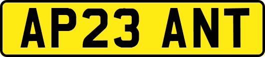 AP23ANT
