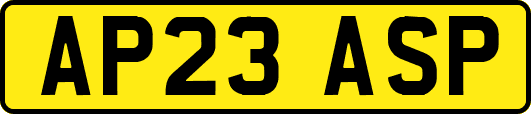 AP23ASP