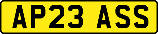 AP23ASS