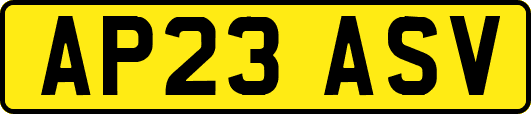 AP23ASV