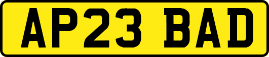 AP23BAD