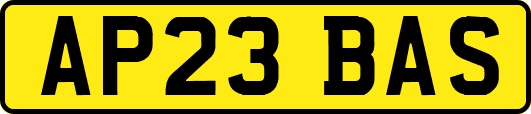 AP23BAS