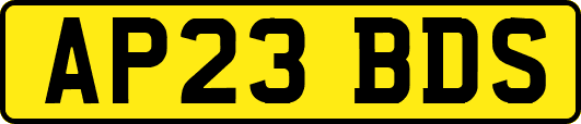 AP23BDS