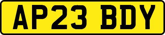 AP23BDY