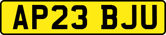 AP23BJU