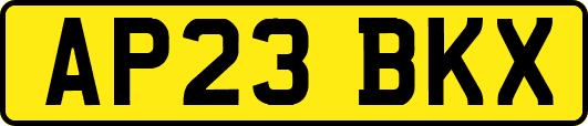 AP23BKX