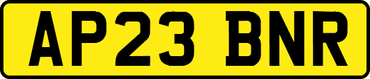 AP23BNR