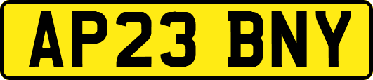 AP23BNY