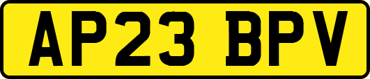 AP23BPV
