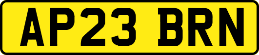 AP23BRN