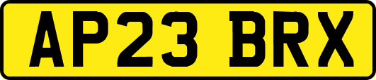 AP23BRX