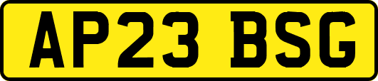 AP23BSG