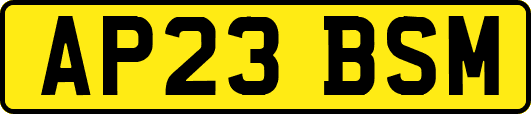 AP23BSM